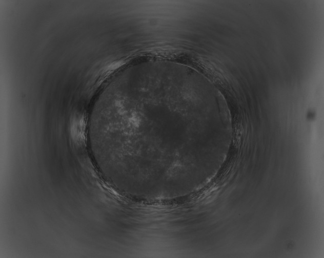 X0000091651010200708301414