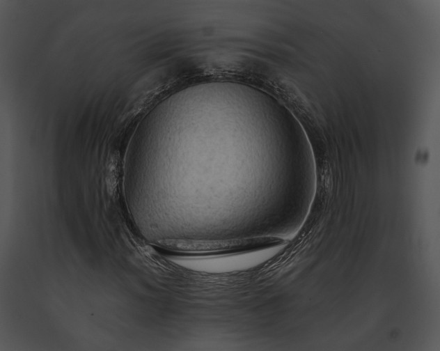 X0000091651012200708301414