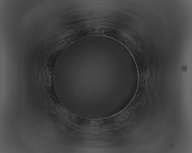 X0000091651013200708301414