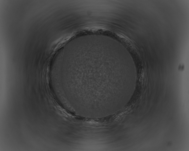 X0000091651014200708301414