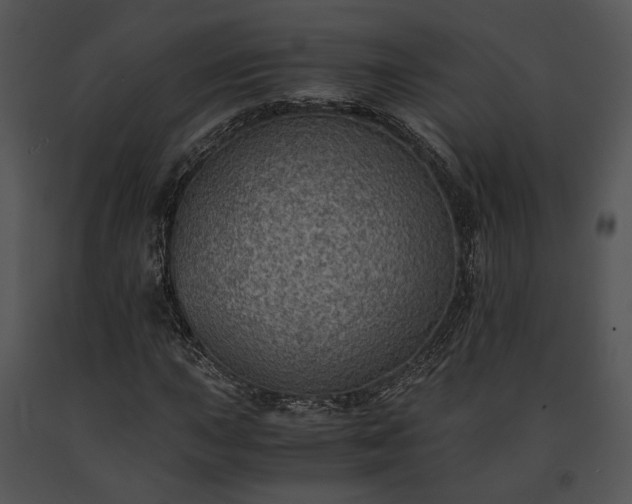 X0000091651015200708301414