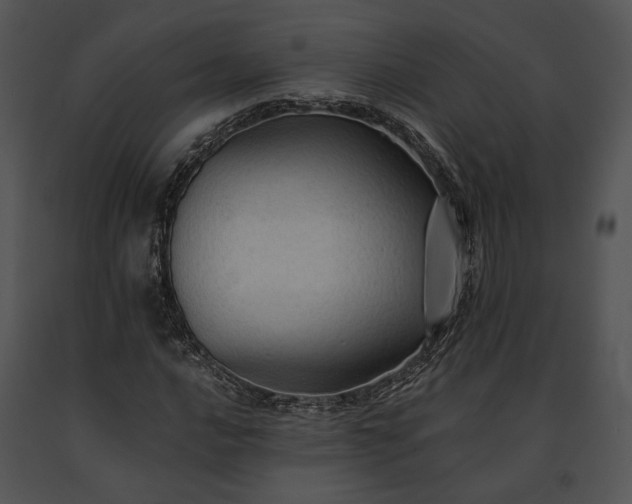 X0000091651016200708301414