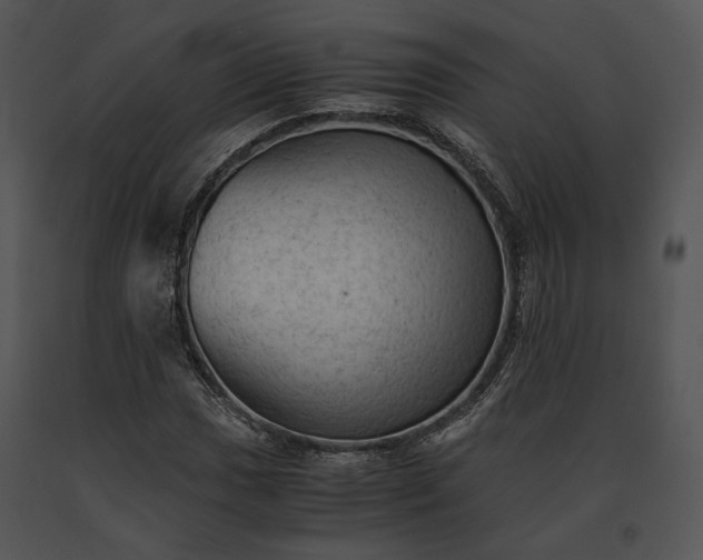X0000091651017200708301414