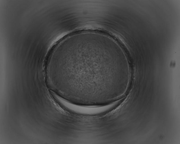 X0000091651018200708301414