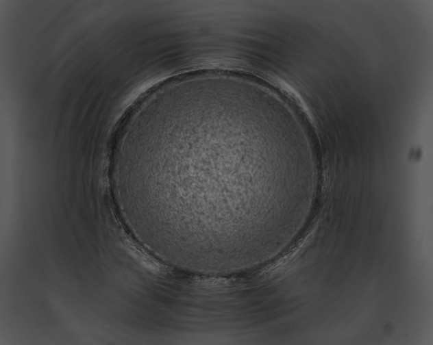 X0000091651019200708301414