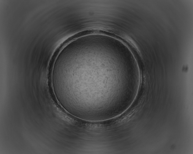 X0000091651020200708301414