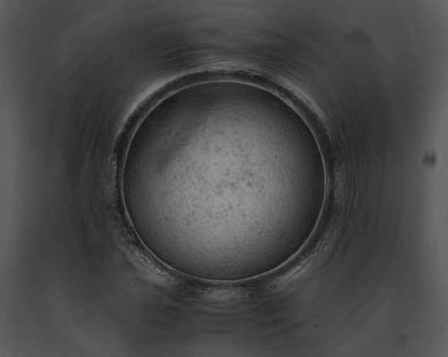 X0000091651021200708301414