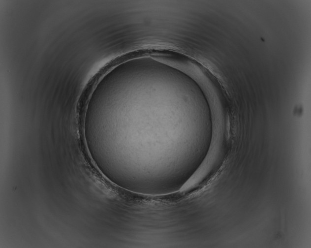 X0000091651022200708301414
