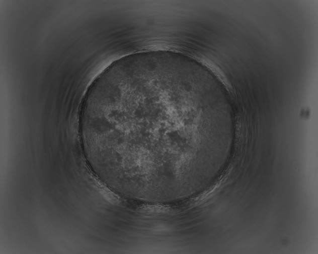 X0000091651023200708301414