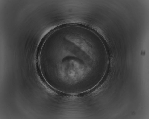 X0000091651024200708301414