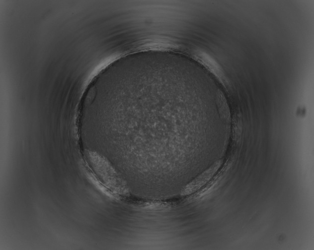 X0000091651026200708301414