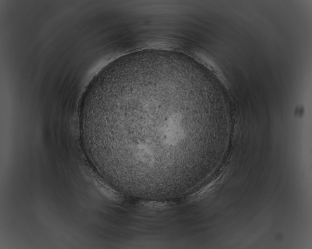 X0000091651027200708301414