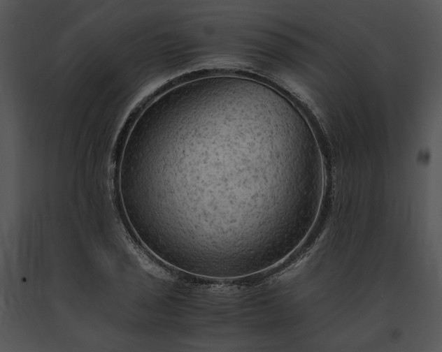 X0000091651029200708301414