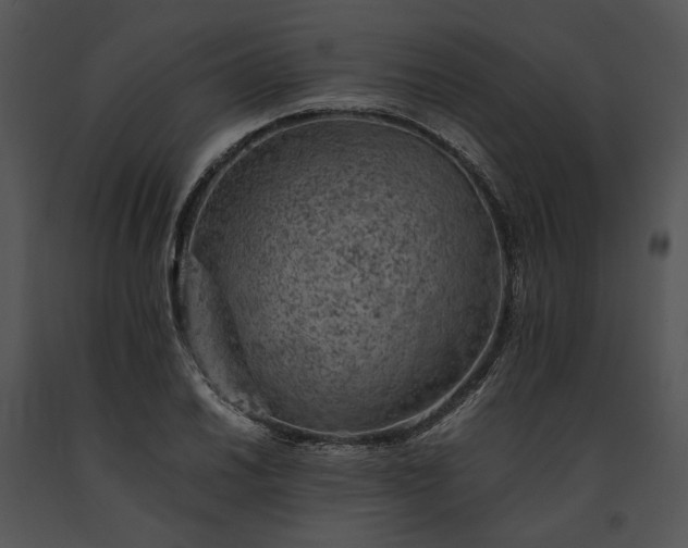 X0000091651030200708301414
