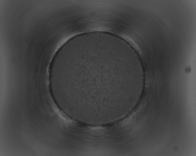 X0000091651031200708301414