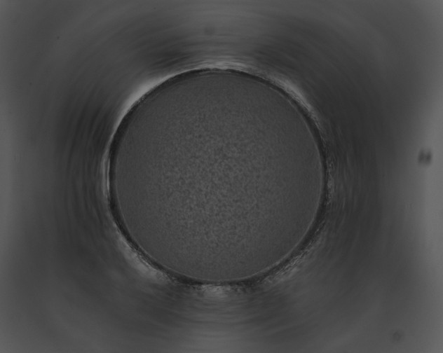 X0000091651032200708301414