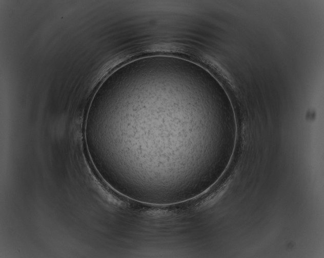 X0000091651033200708301414