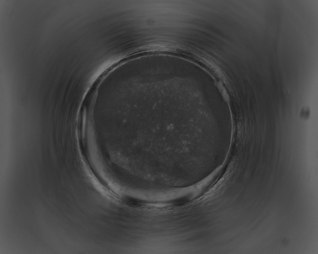 X0000091651034200708301415