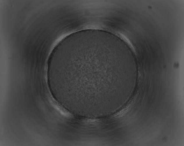 X0000091651035200708301415