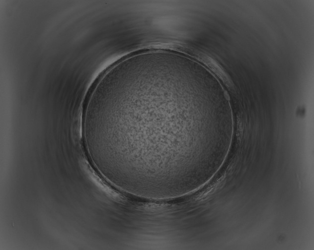 X0000091651036200708301415