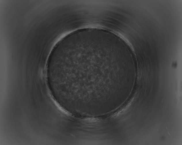 X0000091651037200708301415