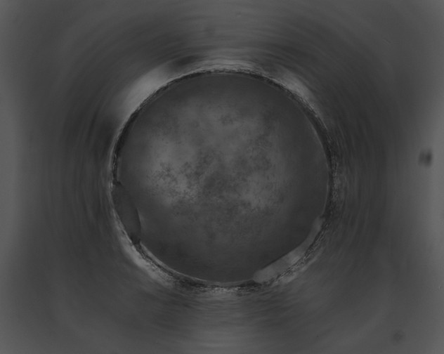 X0000091651038200708301415