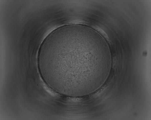 X0000091651039200708301415