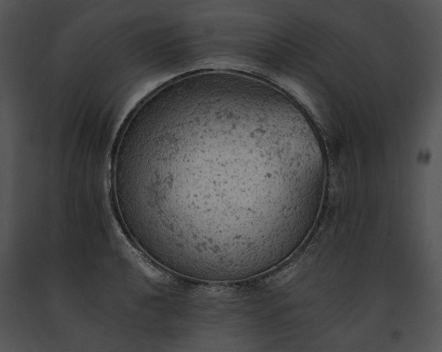 X0000091651040200708301415