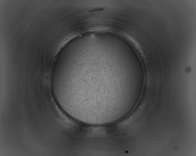 X0000091651041200708301415