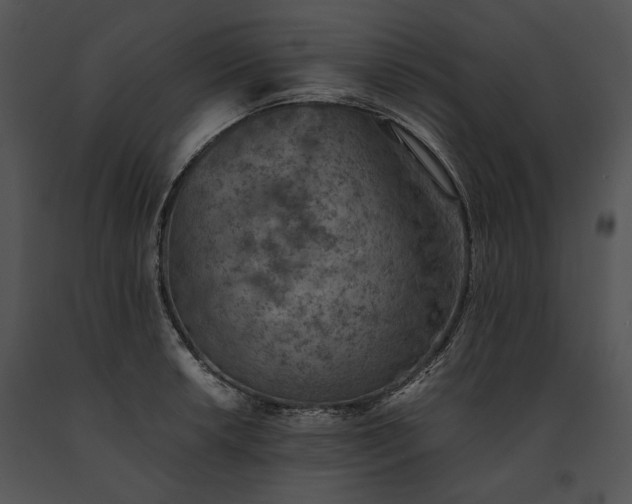X0000091651042200708301415