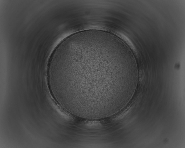 X0000091651043200708301415