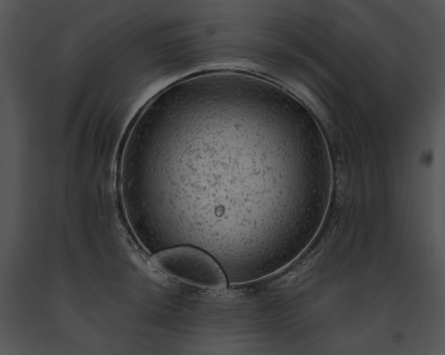 X0000091651044200708301415