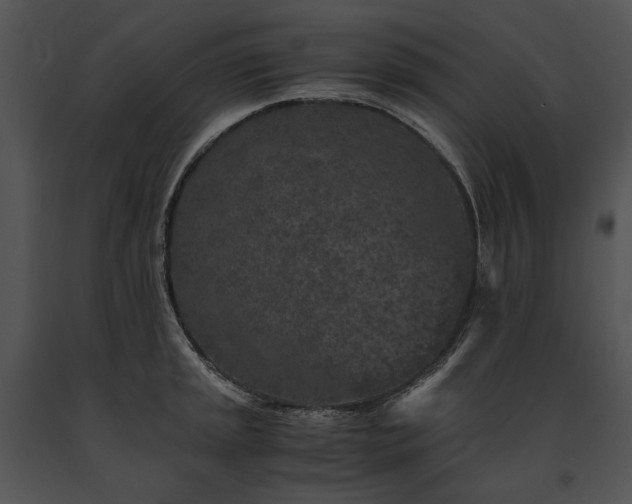 X0000091651045200708301415