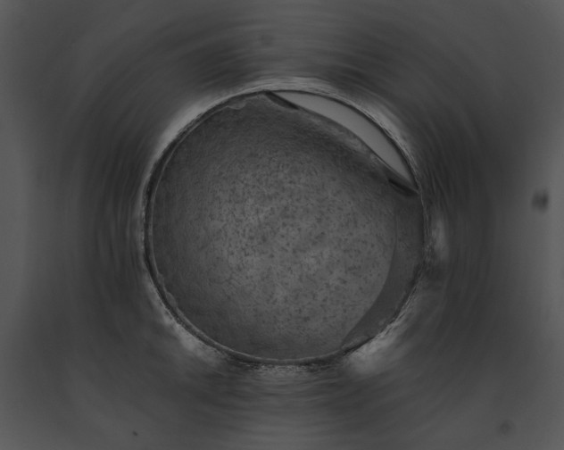 X0000091651046200708301415