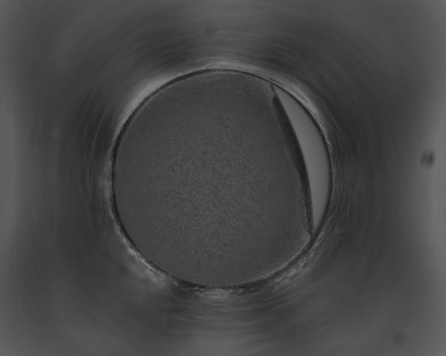 X0000091651048200708301415