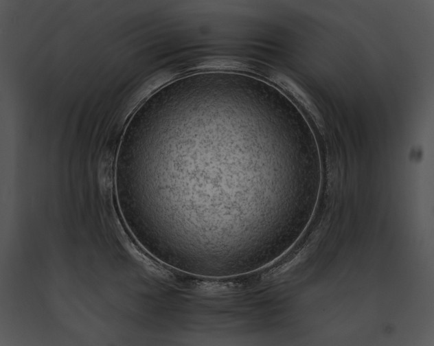 X0000091651049200708301415