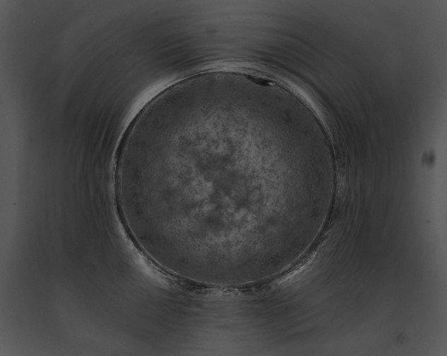 X0000091651050200708301415