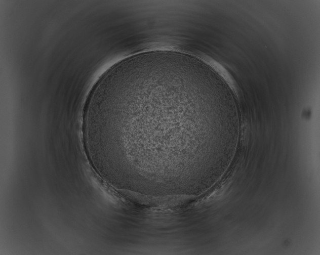 X0000091651051200708301415