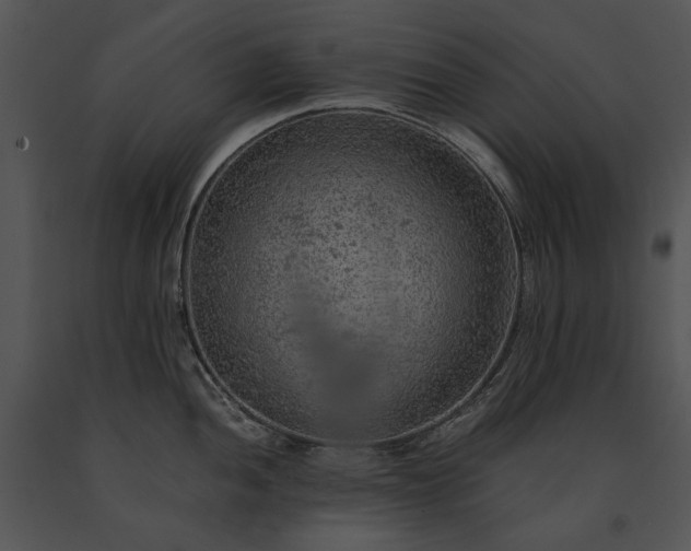 X0000091651052200708301415