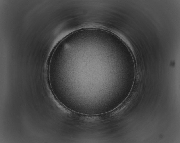 X0000091651053200708301415