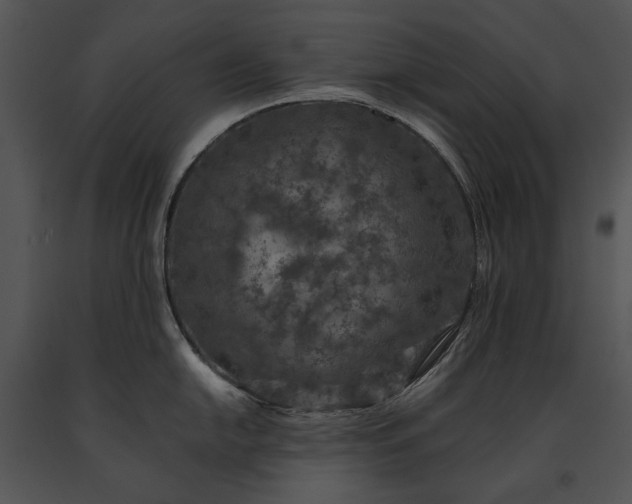X0000091651054200708301415