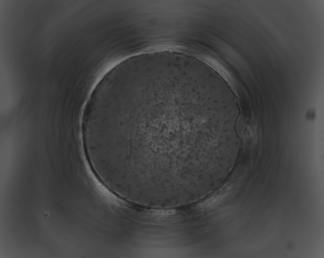 X0000091651055200708301415