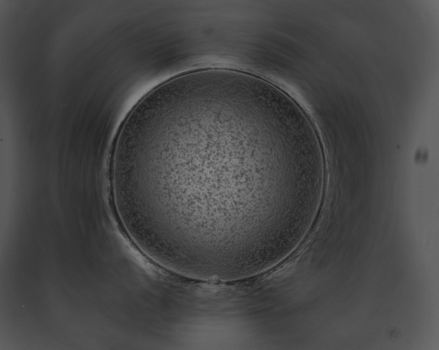 X0000091651056200708301415