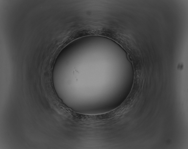 X0000091651057200708301414