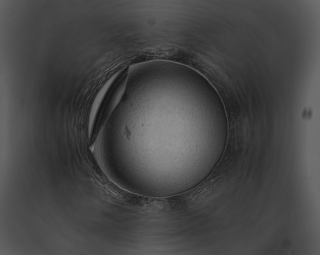X0000091651058200708301414