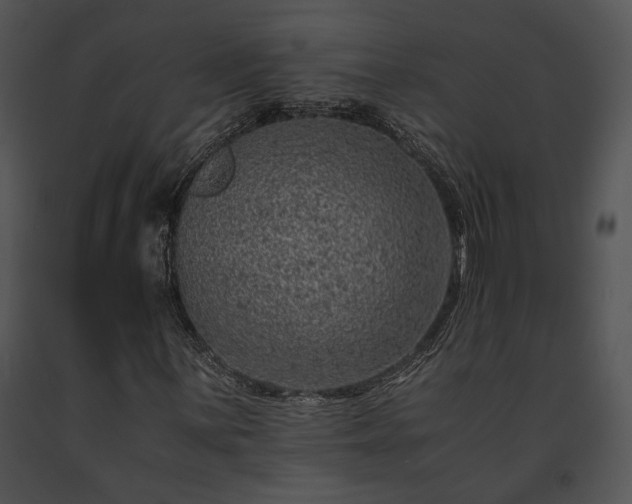 X0000091651059200708301414