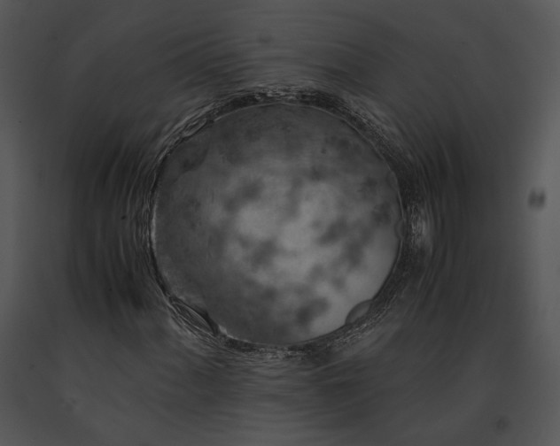 X0000091651060200708301414