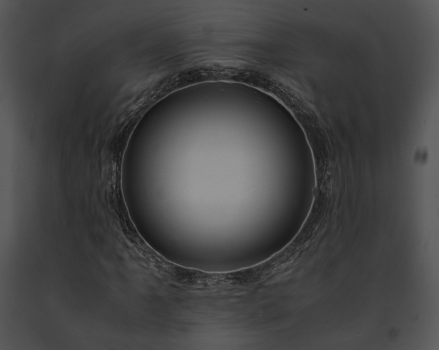 X0000091651061200708301414