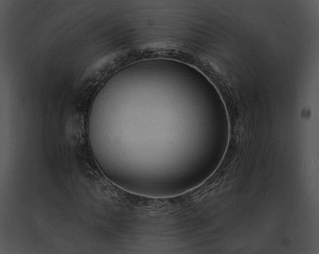 X0000091651062200708301414
