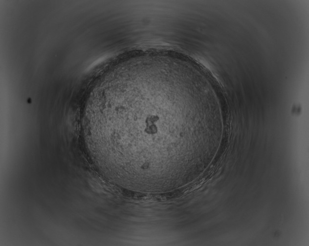 X0000091651063200708301414